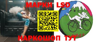 гидра Можга