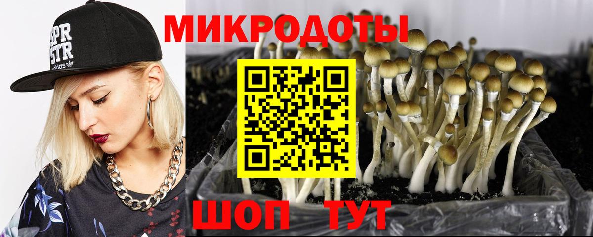 Галлюциногенные грибы мицелий Топки